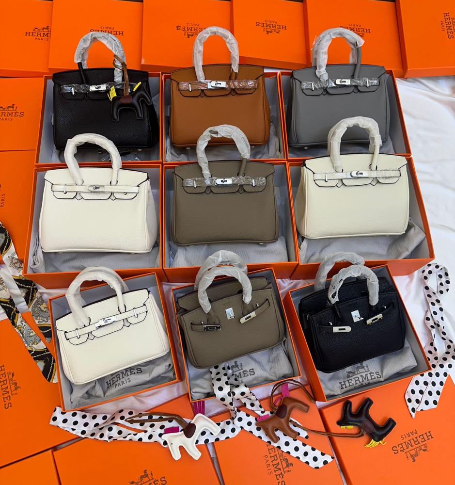 Hermes Birkin 25